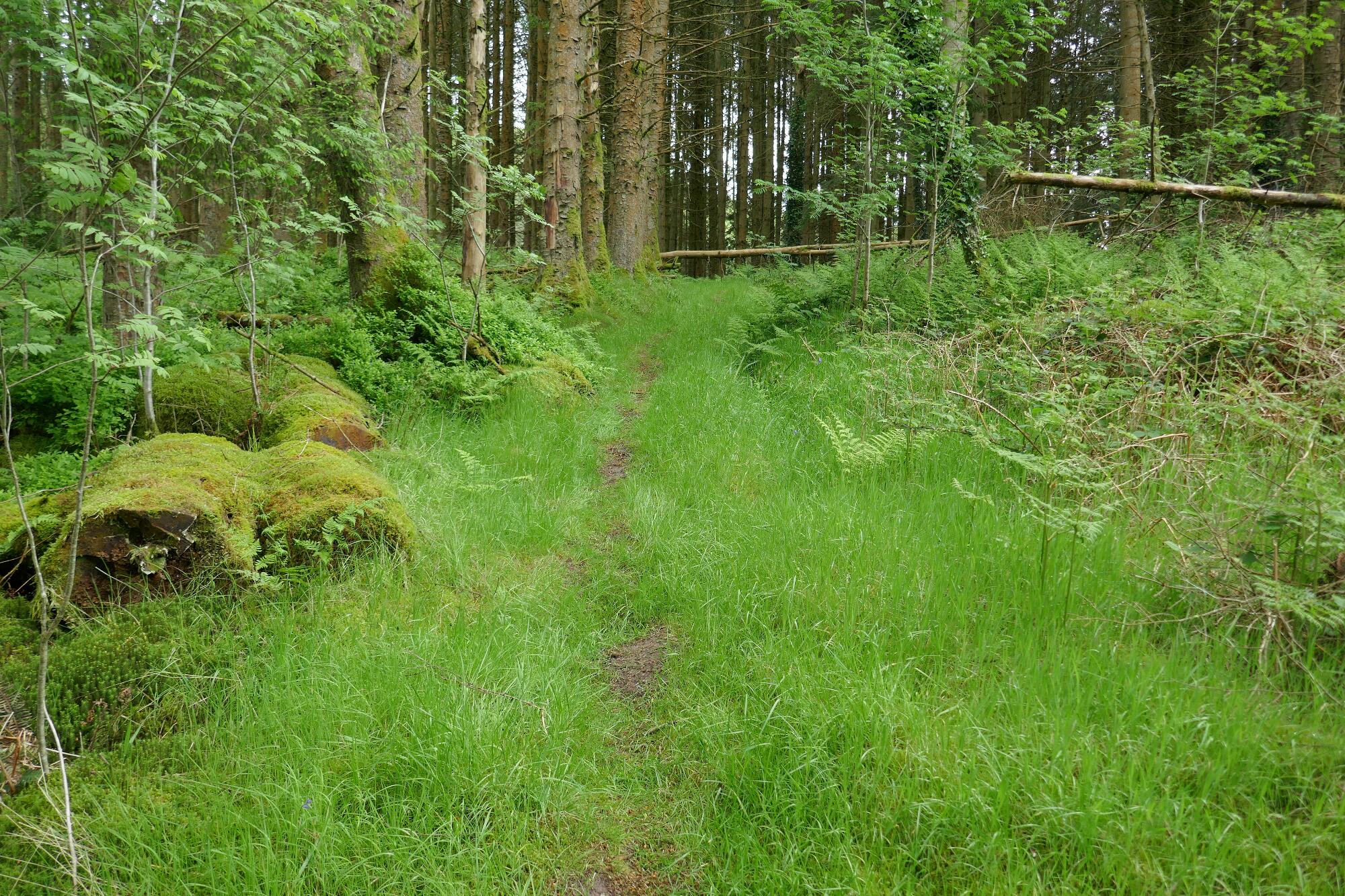 RachelSeabrook.net | Wild Walking | Devils-Bridge; pic46